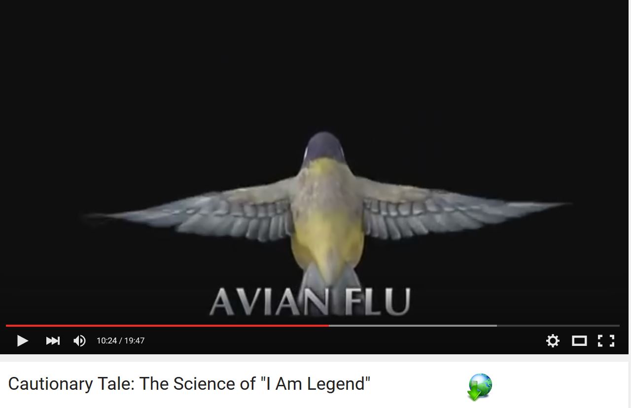 A Cautionary Tale: Avian Flu featured Songbird Remix