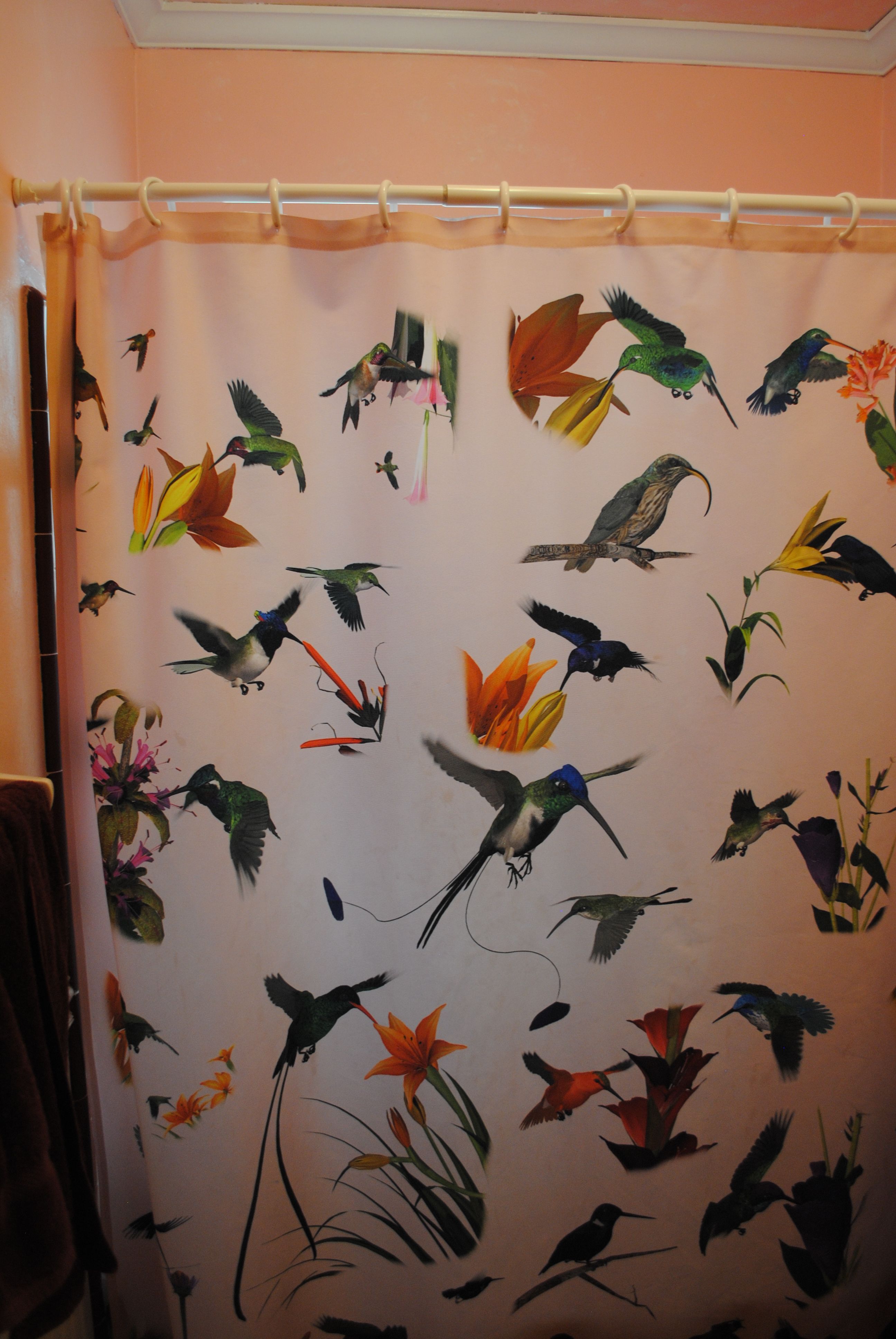 The Songbird ReMix Hummingbird graces shower curtains