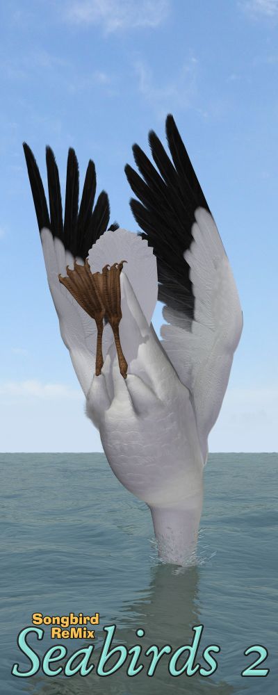 Seabirds2 Teaser ©2015 by Ken Gilliland
