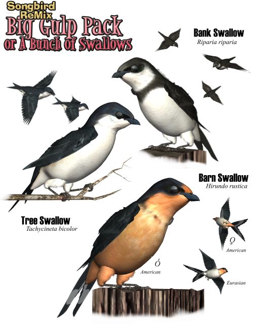The Big Gulp: A Bunch of Swallows Ad ©2015 by Ken Gilliland