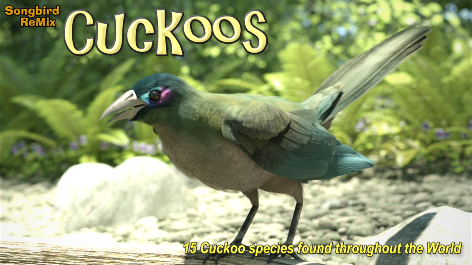 Songbird ReMix Cuckoos