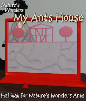 Nature's Wonders My Ants House