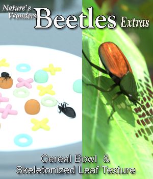 Nature's Wonders Beetles Extras