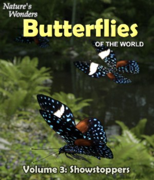 Nature's Wonders Butterflies v3