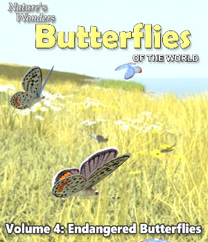 Nature's Wonders Butterflies v3