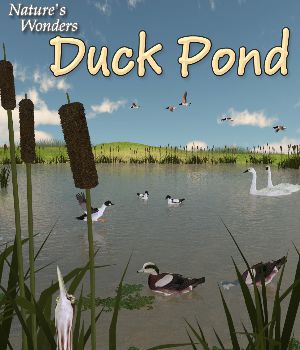 Nature's Wonders Duck Pond