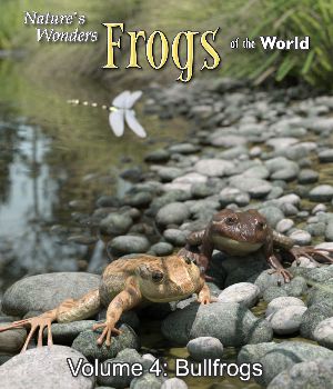 Nature's Wonders Frogs