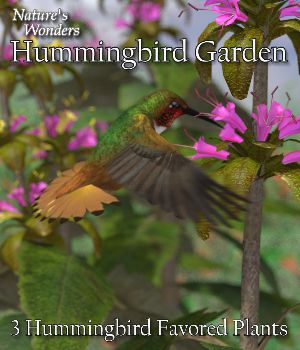 Nature's Wonders Hummingbird Garden