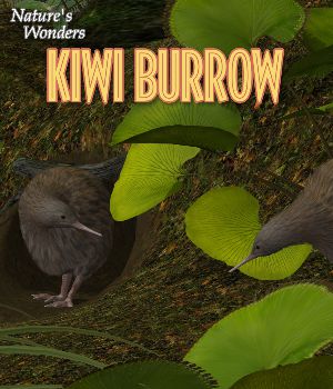 Nature's Wonders Kiwi Burrow