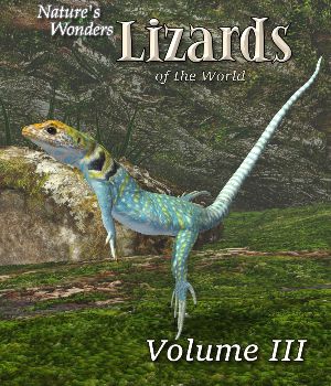 Nature's Wonders Lizards of the World v1