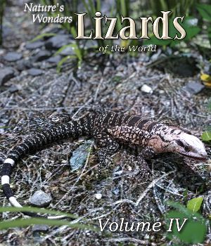 Nature's Wonders Lizards of the World Volume 4