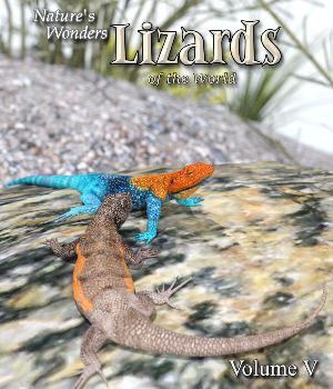 Nature's Wonders Lizards of the World Volume 5