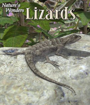 Nature's Wonders Lizards