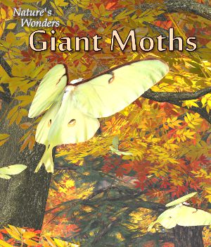Nature's Wonders Giant Moths