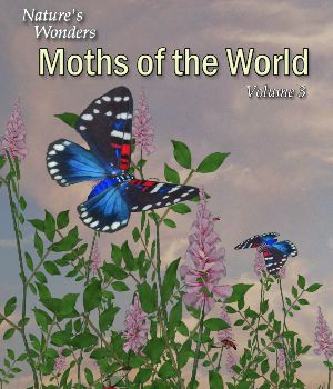 Nature's Wonders Moths of the World Volume 3