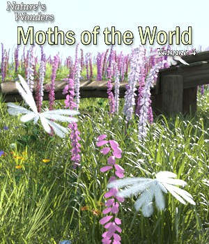 Nature's Wonders Turtles of the World Volume 2