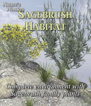 Nature's Wonders Sagebrush Habitat