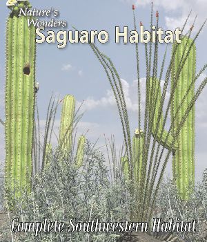 Nature's Wonders Saguaro Habitat