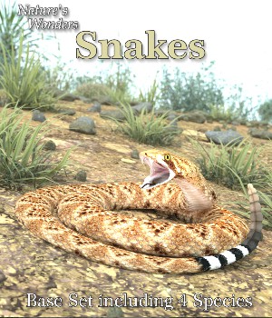 Nature's Wonders Snakes