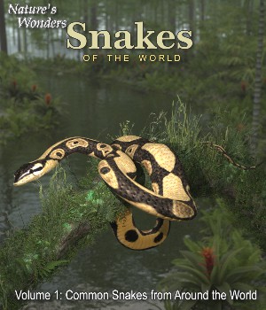 Nature's Wonders Snakes of the World Volume 1