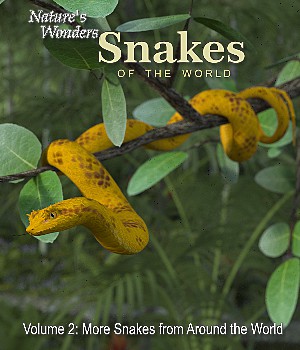 Nature's Wonders Snakes of the World Volume 1