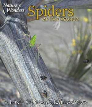 Nature's Wonders Spiders v1