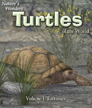 Nature's Wonders Turtles of the World Volume 1