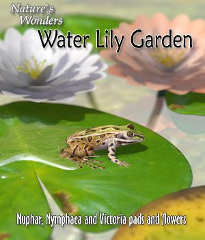 Nature's Wonders Water Lily Garden