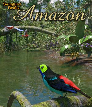 Songbird ReMix Amazon