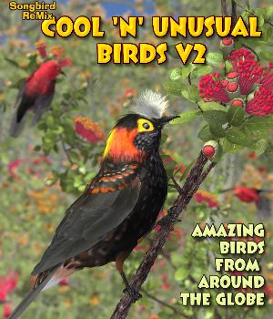 Songbird ReMix Cool & Unusual Birds Volume 2