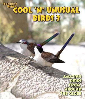 Songbird ReMix Cool and Unusual Birds Volume 3