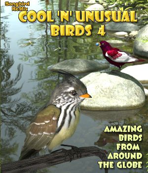 Songbird ReMix Cool and Unusual Birds Volume 3