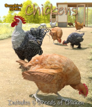 Songbird ReMix Chickens<