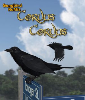 Songbird ReMix Corvus Corvus