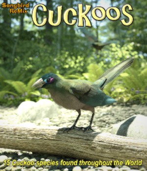 Songbird ReMix Cuckoos