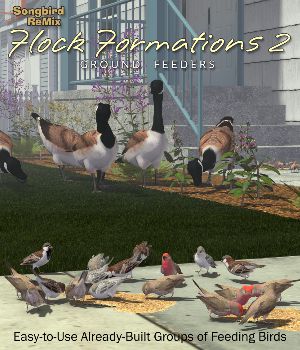 Songbird ReMix Flock Formations2