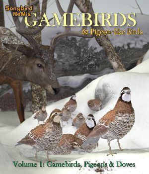 Songbird ReMix Game Birds