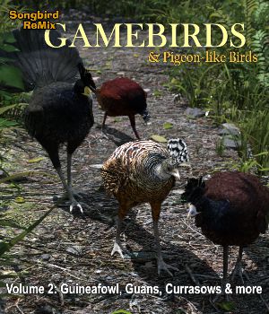 Songbird ReMix Gamebirds Volume 2: Guineafowl, Guans, Currasows and more
