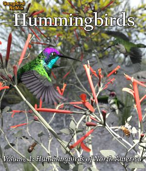 Songbird ReMix Hummingbirds of the World v1