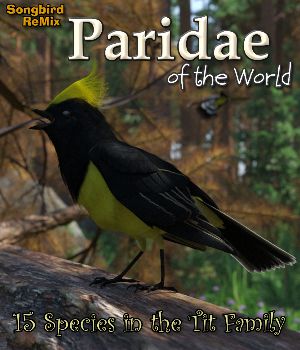 Songbird ReMix Paridae of the World