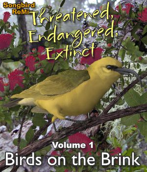 Songbird ReMix Threaten, Endangered, Extinct Volume 1