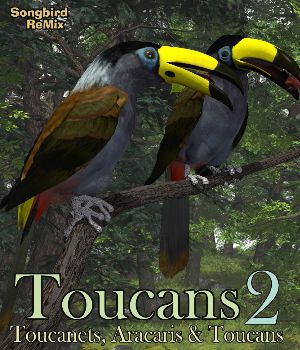 Songbird ReMix Toucans Volume 2