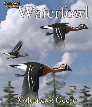 Songbird ReMix Waterfowl v5: Geese