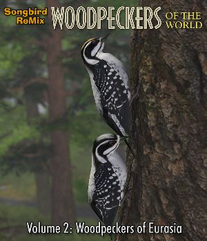 Songbird ReMix Woodpeckers v2: Woodpeckers of the Eurasia