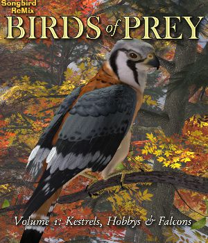 Songbird ReMix Birds of Prey Volume 1: Ketrels, Hobbys & Falcons