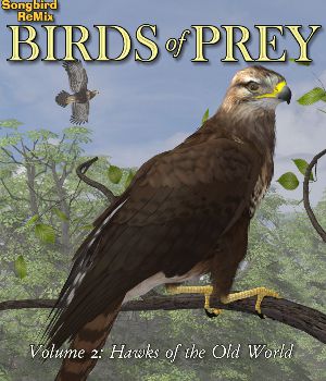 Songbird ReMix Birds of Prey Volume 2: Hawks of the Old World