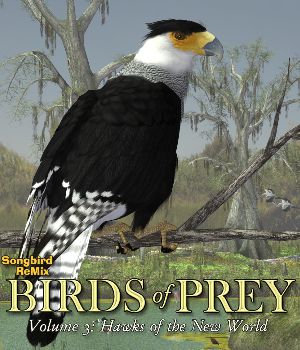 Songbird ReMix Birds of Prey Volume 3: Hawks of the New World