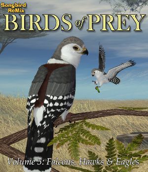 Songbird ReMix Birds of Prey Volume 5: More Falcons, Hawks & Eagles
