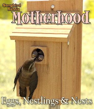 Songbird ReMix Motherhood Volume 1