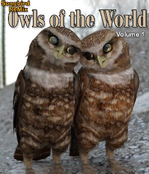 Songbird ReMix Owls of the World Volume 1<